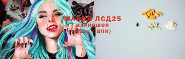 СК Красноперекопск