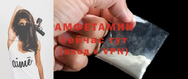 индика Костерёво