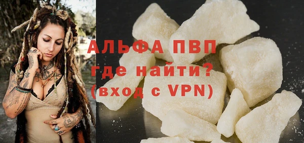 индика Костерёво