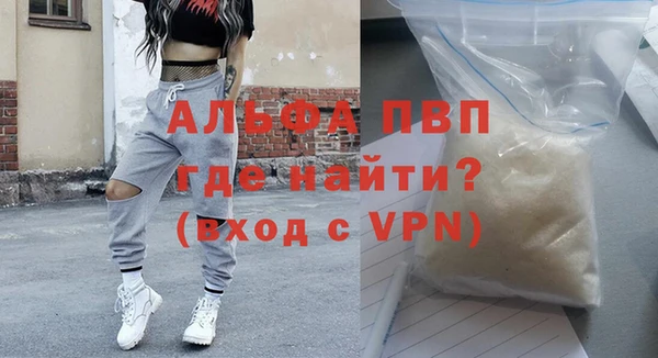 индика Костерёво