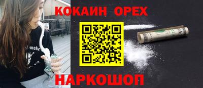 гидра Кимры