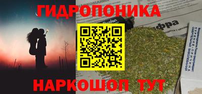 гидра Кимры