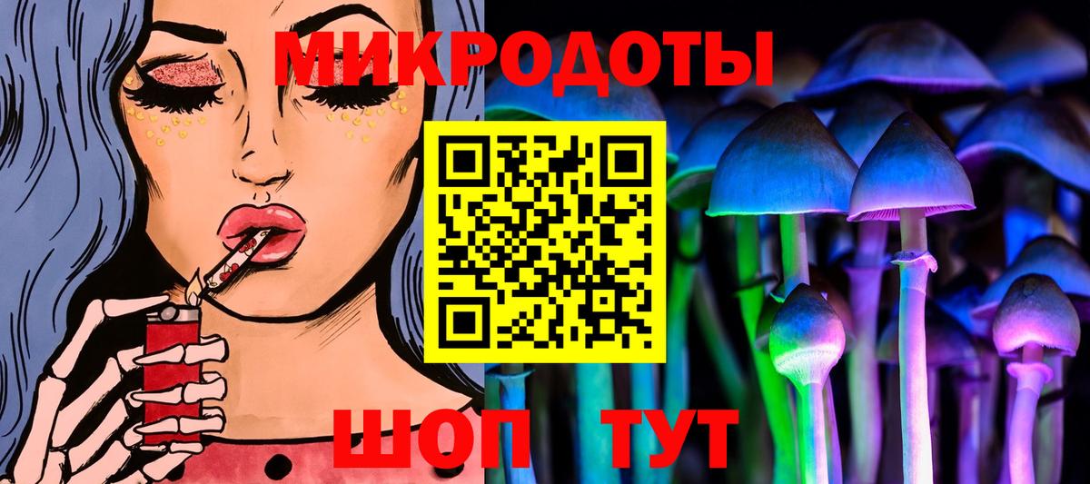 Псилоцибиновые грибы прущие грибы Кудрово
