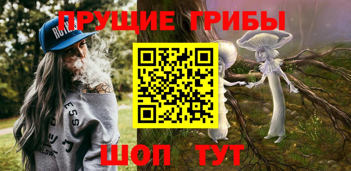 Кудрово  Галлюциногенные грибы Psilocybine cubensis  Вход с VPN 